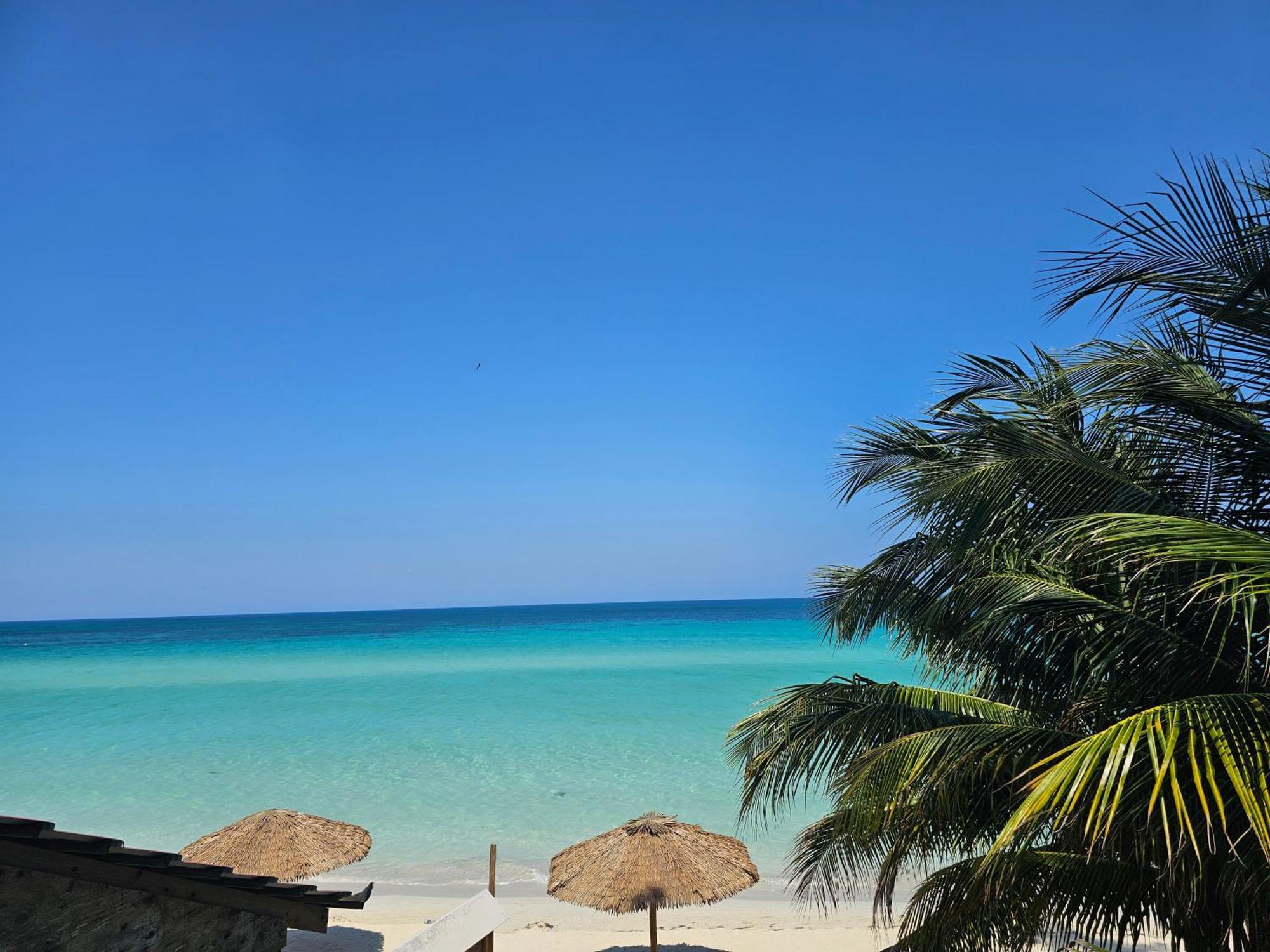 Roots Cafe Rooms Negril Buitenkant foto